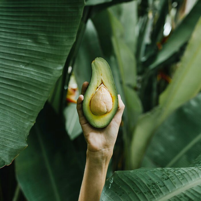 Exotic Cantaloupe